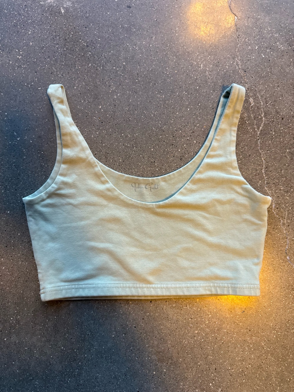 Brandy Melville Light Blue Cropped Scoop Tank